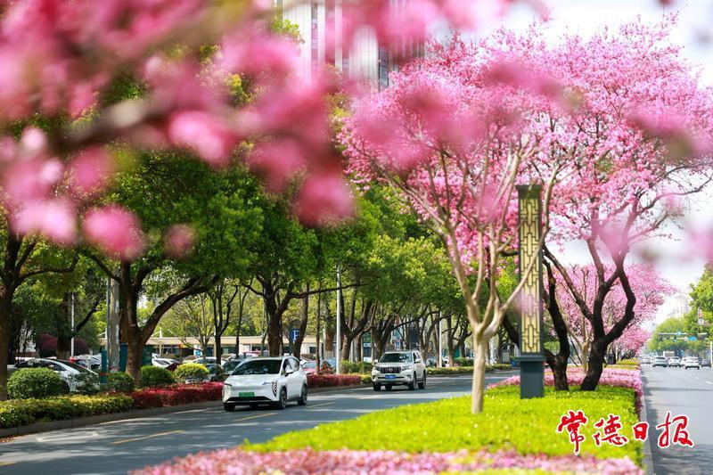 澳门新葡新京在线