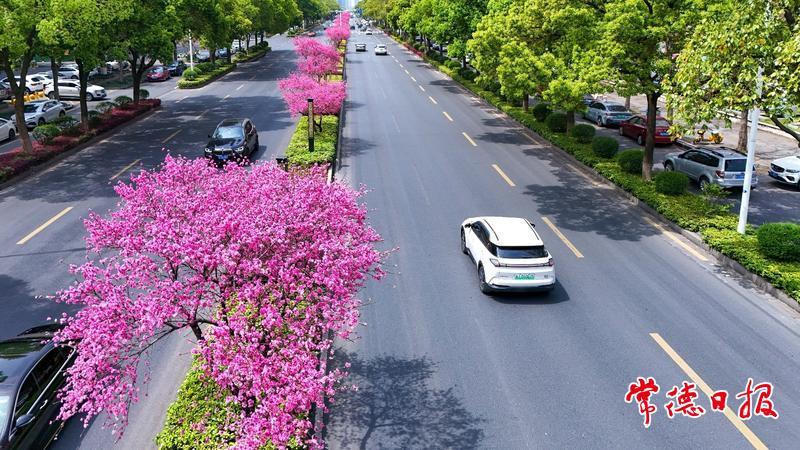 澳门新葡新京在线