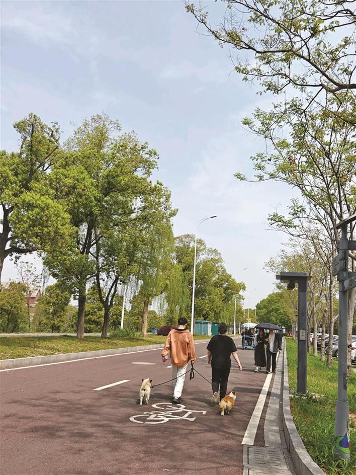 澳门新葡新京在线