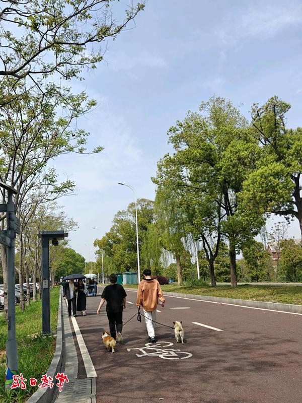 澳门新葡新京在线
