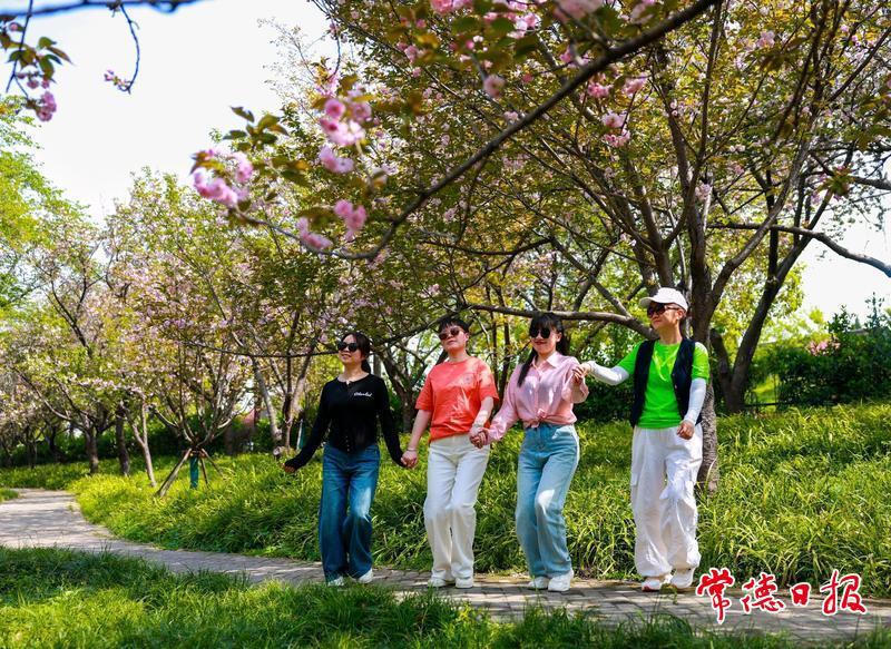 澳门新葡新京在线