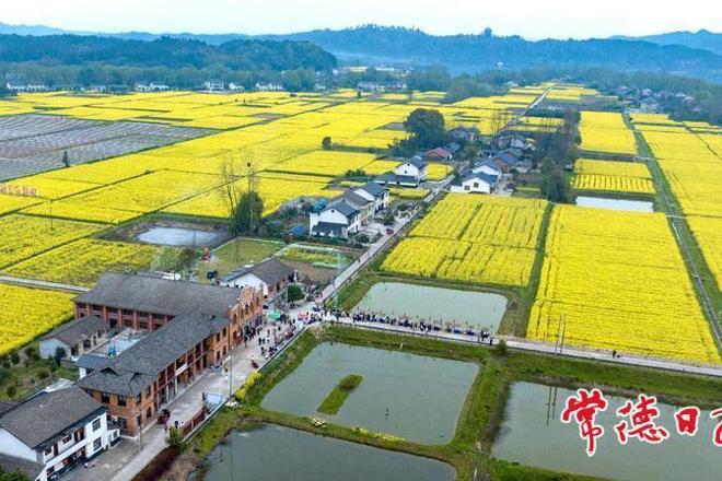 【组图】澳门新葡新京在线白麟洲里的春日慢生活
