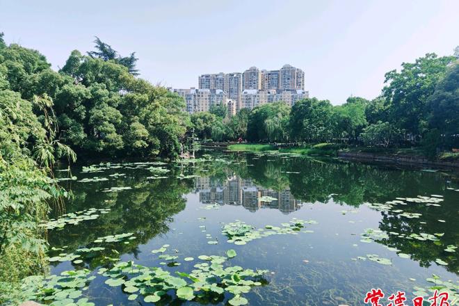 【组图】