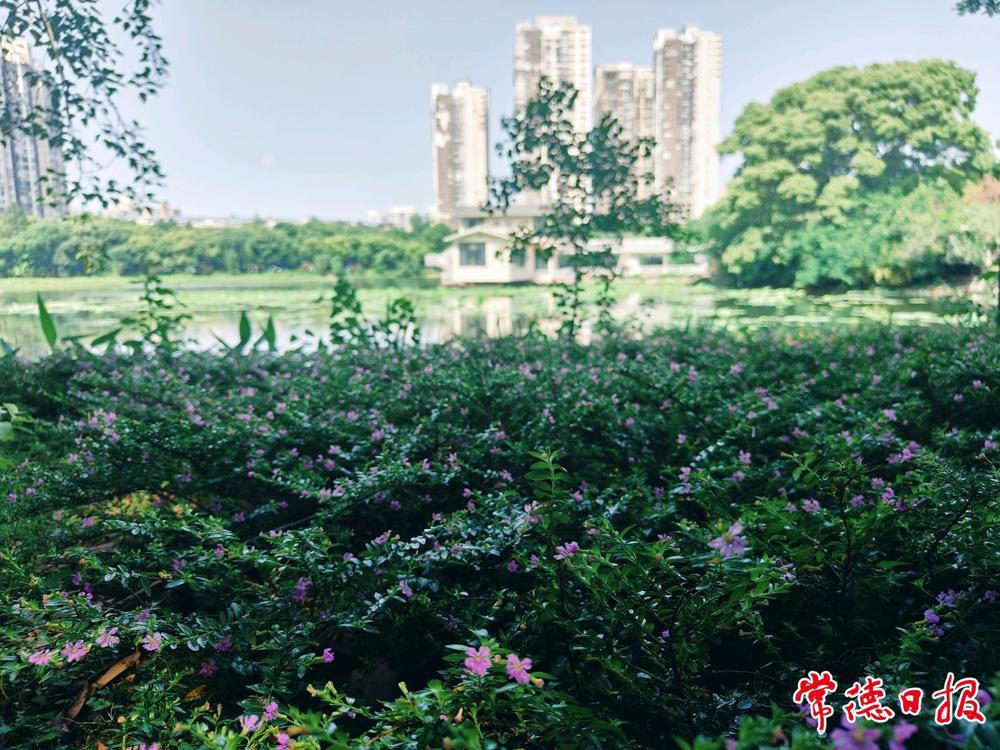 澳门新葡新京在线
