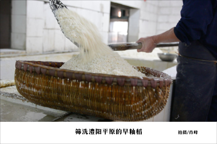 澳门新葡新京在线