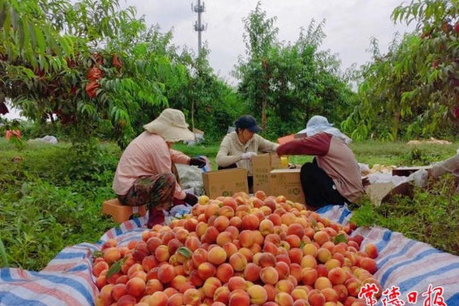 澳门新葡新京在线