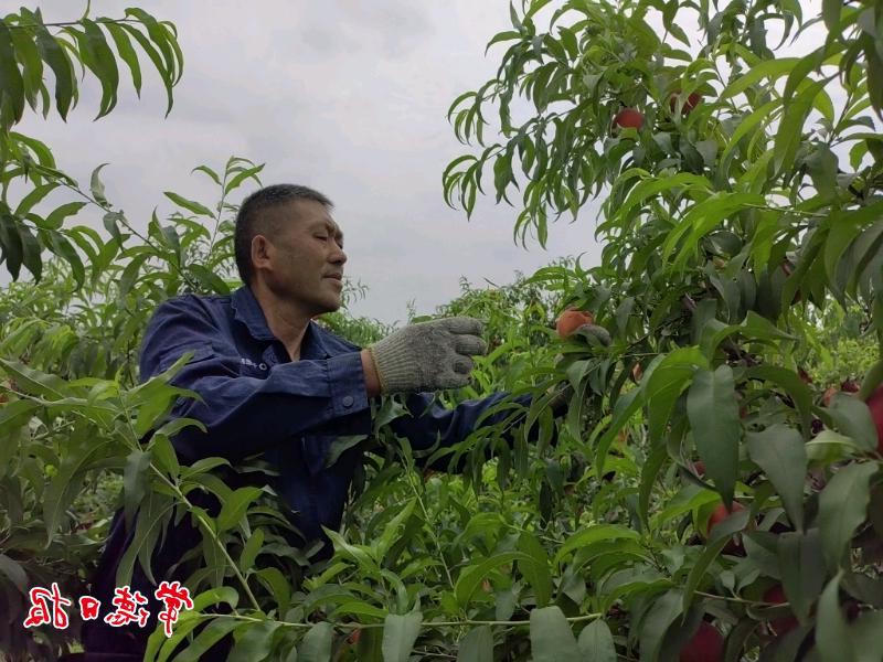 澳门新葡新京在线