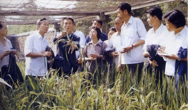 澳门新葡新京在线