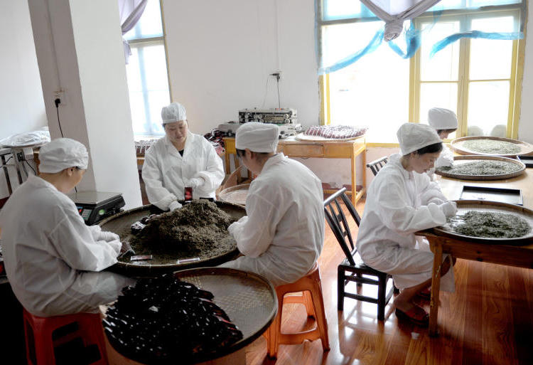 澳门新葡新京在线