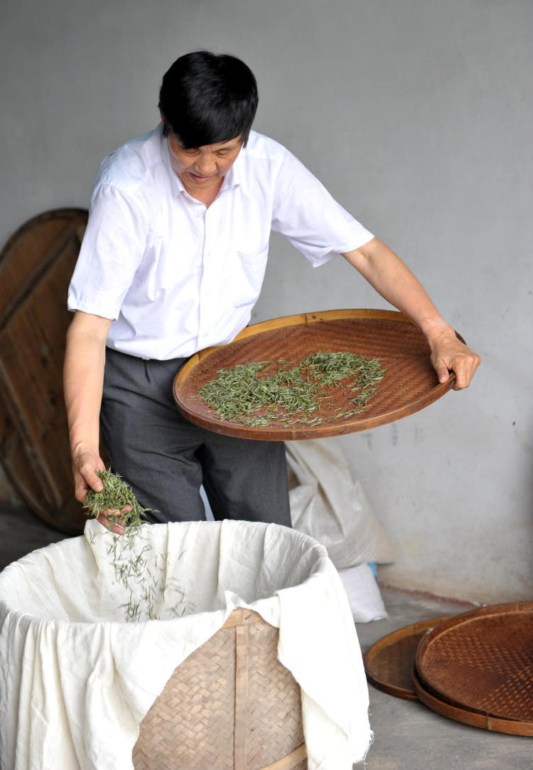 澳门新葡新京在线