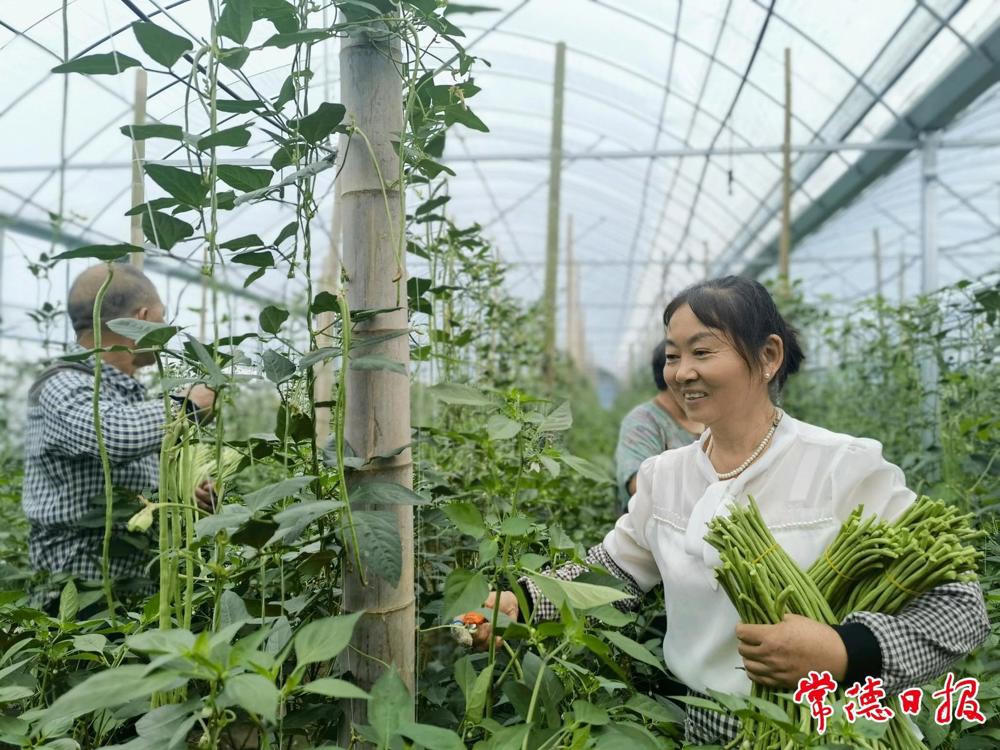 澳门新葡新京在线