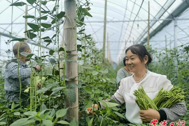 澳门新葡新京在线