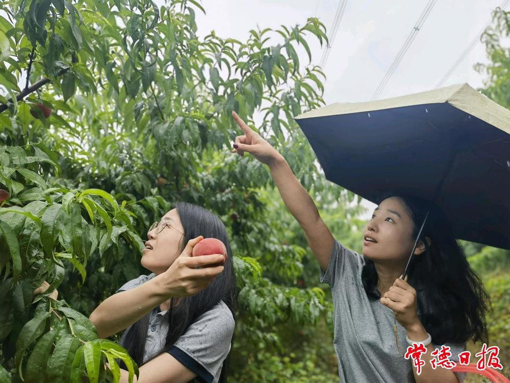 澳门新葡新京在线