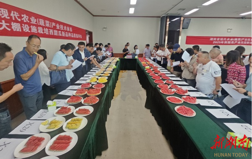 澳门新葡新京在线