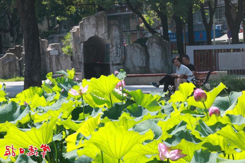 澳门新葡新京在线