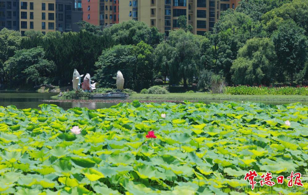 澳门新葡新京在线