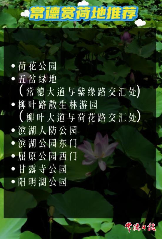 澳门新葡新京在线