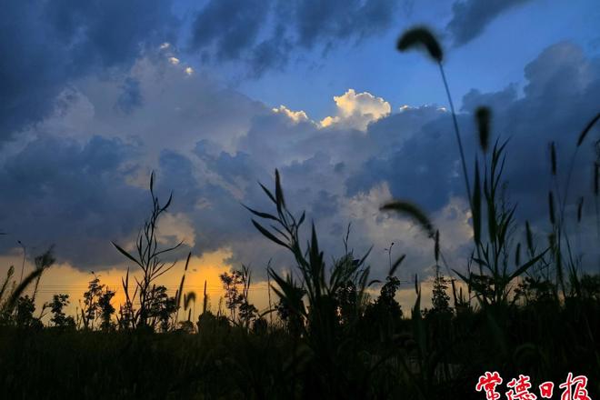 【摄影报道】阵雨来临前常德的绝美云层