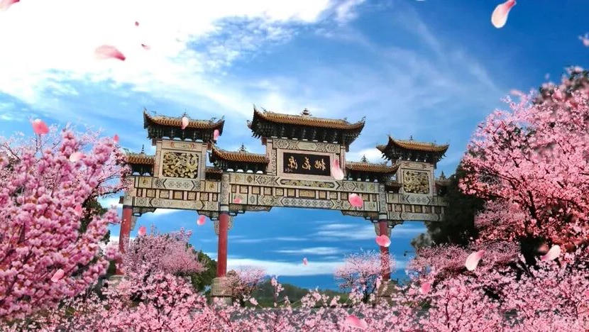 澳门新葡新京在线
