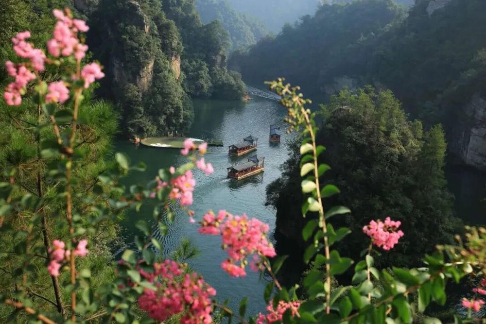 澳门新葡新京在线