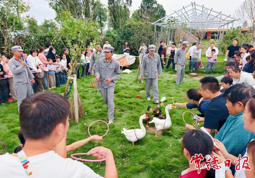 澳门新葡新京在线