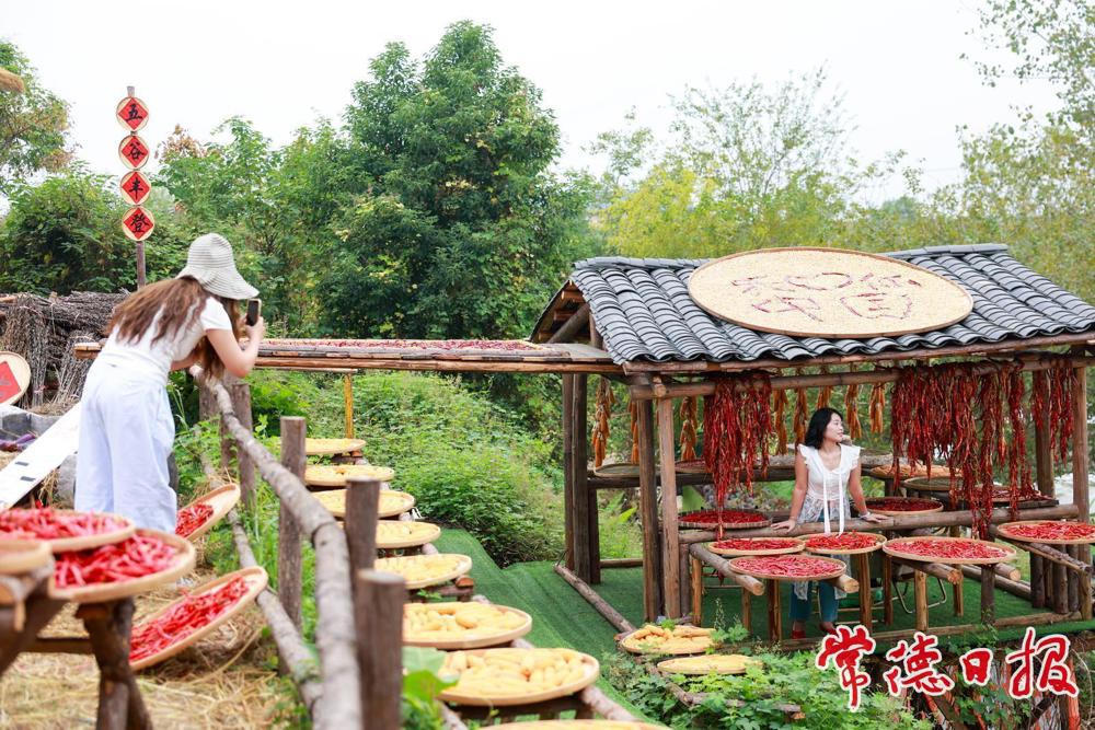 澳门新葡新京在线