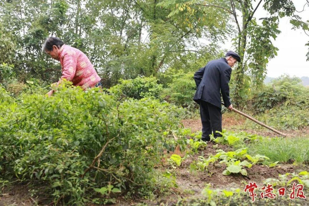 澳门新葡新京在线