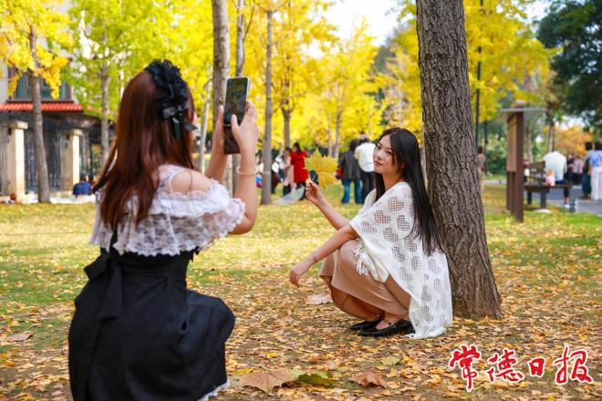 【组图】冬日来