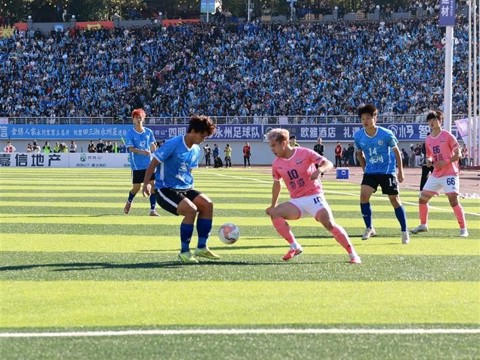 澳门新葡新京在线