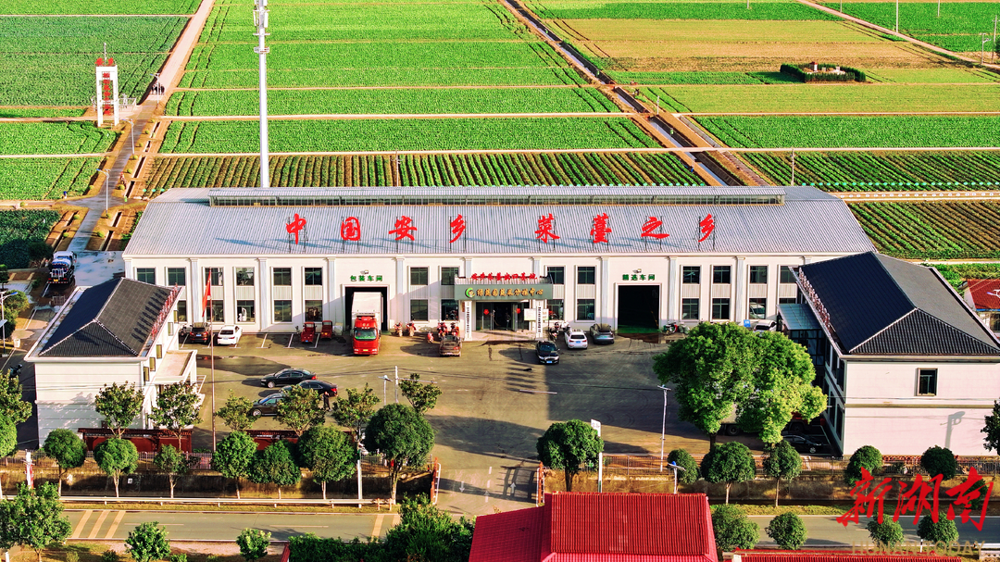 澳门新葡新京在线