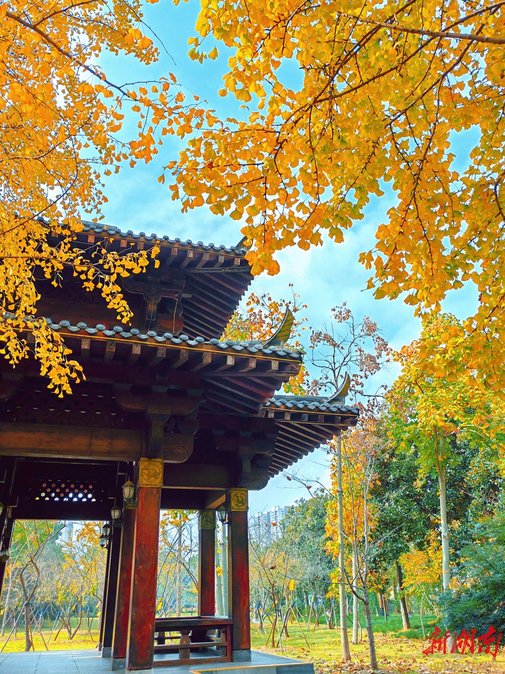 澳门新葡新京在线