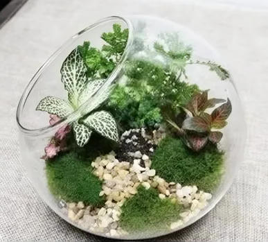 澳门新葡新京在线