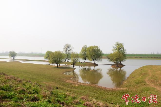【组图】春风又绿流花口