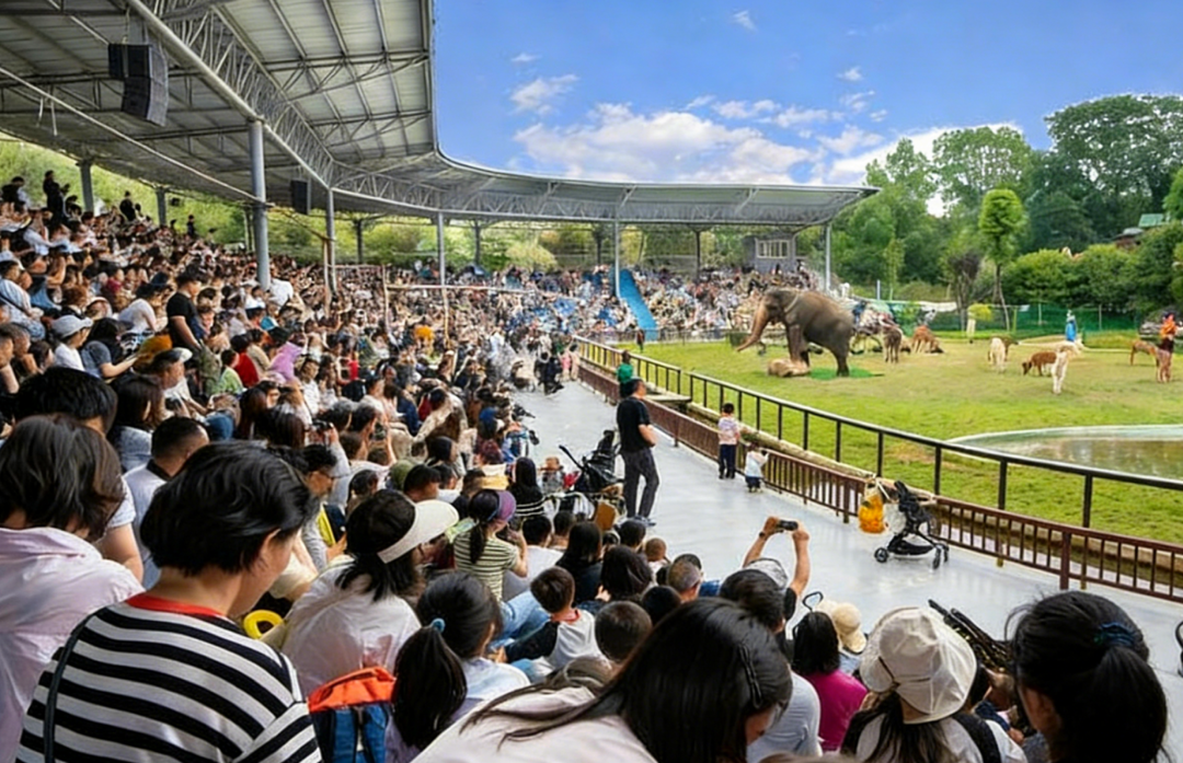 澳门新葡新京在线