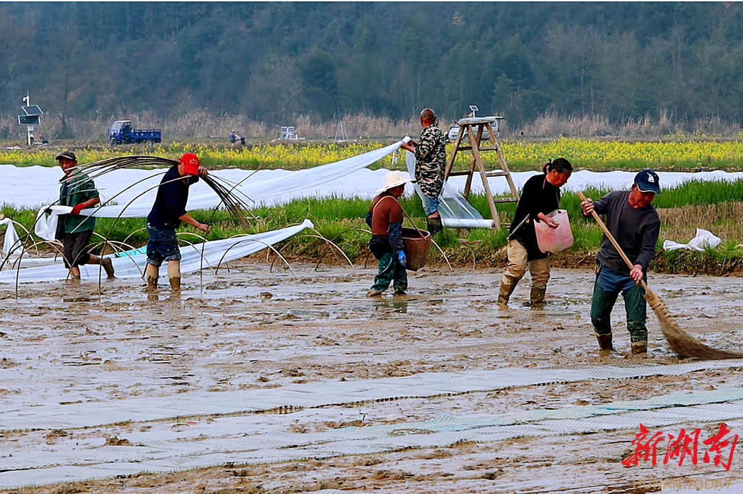 澳门新葡新京在线