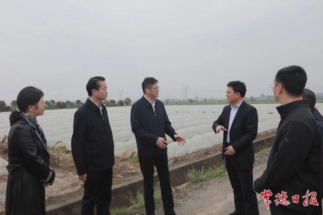 罗毅君赴桃源县调研