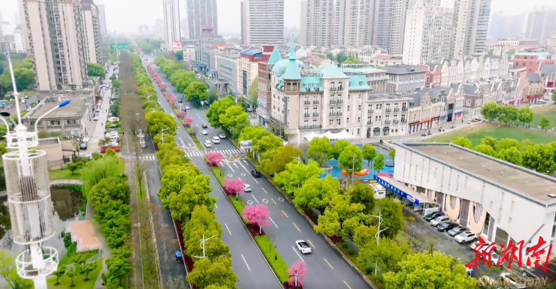 澳门新葡新京在线