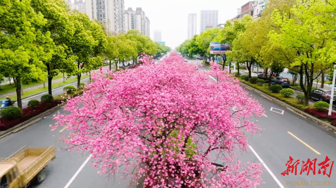澳门新葡新京在线