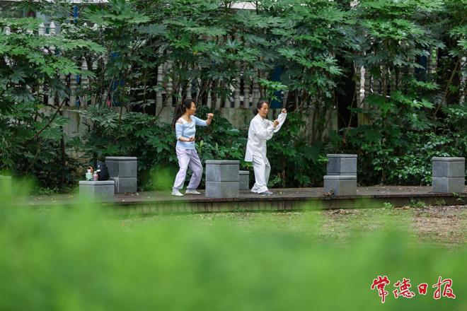 【组图】常德放晴迎仲夏 市民公园里乐享绿美生活