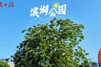 【武陵区】