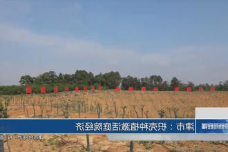 澳门新葡新京在线