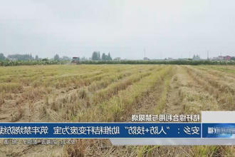 澳门新葡新京在线