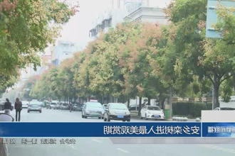 澳门新葡新京在线