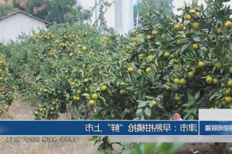 澳门新葡新京在线