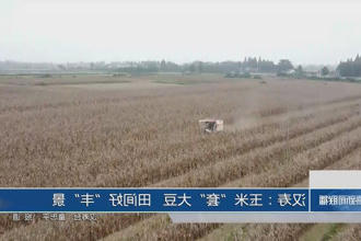 澳门新葡新京在线