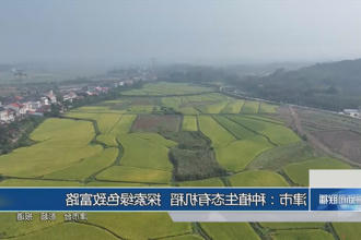 澳门新葡新京在线