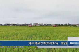 澳门新葡新京在线