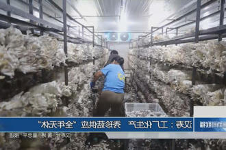 澳门新葡新京在线