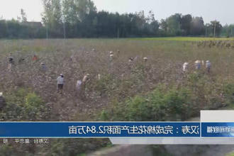 澳门新葡新京在线