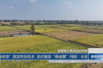 澳门新葡新京在线